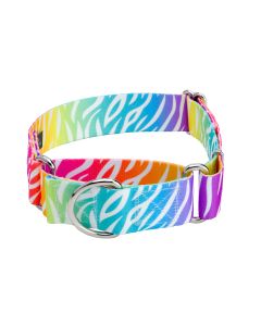 1 1/2 Inch Fashion Zebra Martingale Dog Collar