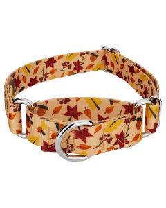 Fall Foliage Martingale Dog Collar