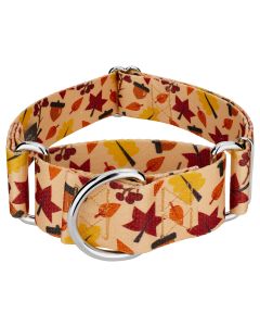 1 1/2 Inch Fall Foliage Martingale Dog Collar 