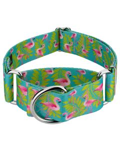 1 1/2 Inch Flamingos Martingale Dog Collar