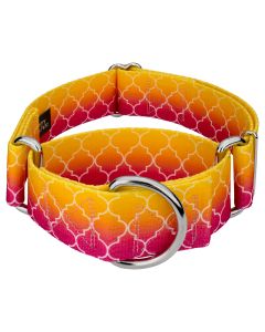 1 1/2 Inch Fabulous Ombre Martingale Dog Collar