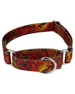 Fire Paisley Martingale Dog Collar