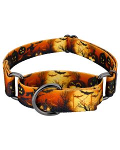 Midnight Fright Gunmetal Martingale Dog Collar