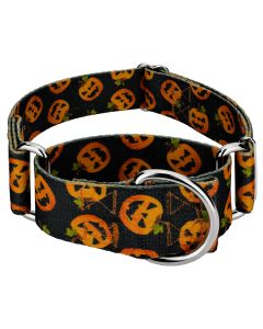 1 1/2 Inch Happy Jack Martingale Dog Collar