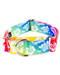 2 Inch Hawaiian Rainbow Martingale Dog Collar