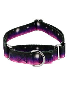 Heavenly Space Martingale Dog Collar