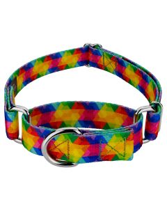 Kaleidoscope Martingale Dog Collar