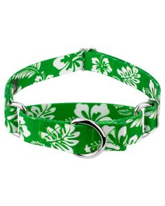 Kelly Green Hawaiian Martingale Dog Collar