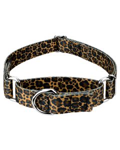 Leopard Print Martingale Dog Collar