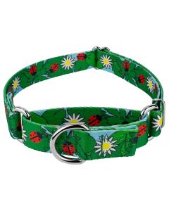 Ladybug Picnic Martingale Dog Collar