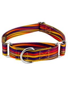 Mellow Waves Martingale Dog Collar