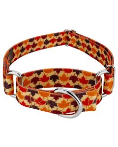 Nature Walk Martingale Dog Collar