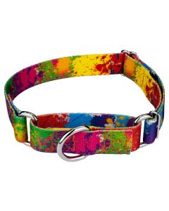 Paint Splatter Martingale Dog Collar