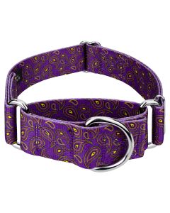 2 Inch Purple Paisley Martingale Dog Collar