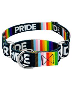 Pride Martingale Dog Collar