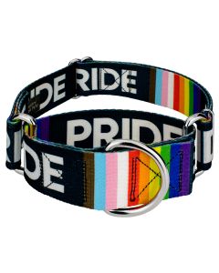 1 1/2 Inch Pride Martingale Dog Collar