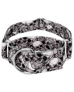 1 1/2 Inch Phantom Skulls Martingale Dog Collar