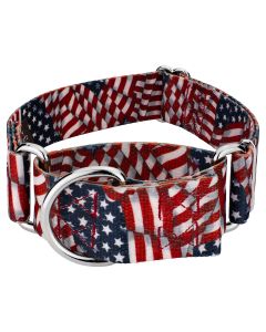 1 1/2 Inch Patriotic Tribute Martingale Dog Collar