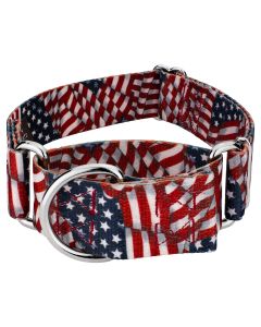 2 Inch Patriotic Tribute Martingale Dog Collar