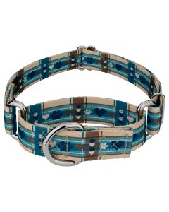 Puppy Picnic Martingale Dog Collar