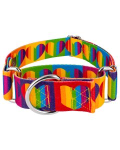 1 1/2 Inch Rainbow Hearts Martingale Dog Collar