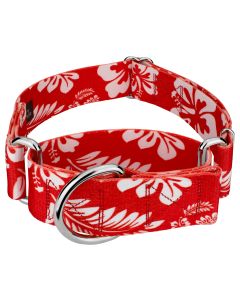 1 1/2 Inch Red Hawaiian Martingale Dog Collar