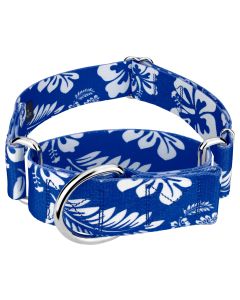 1 1/2 Inch Royal Blue Hawaiian Martingale Dog Collar