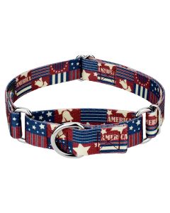 Spirit of '76 Martingale Dog Collar