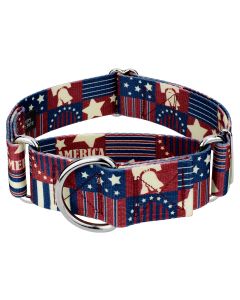 1 1/2 Inch Spirit of '76 Martingale Dog Collar