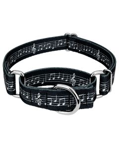 Sheet Music Martingale Dog Collar