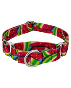 Summer Melon Martingale Dog Collar