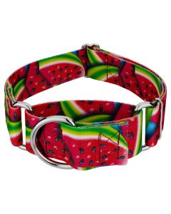 1 1/2 Inch Summer Melon Martingale Dog Collar