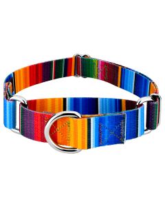 Serape Martingale Dog Collar