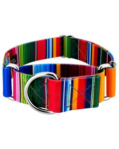 1 1/2 Inch Serape Martingale Dog Collar