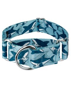 1 1/2 Inch Sharks Martingale Dog Collar