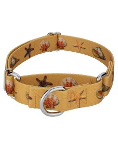 Seashells Martingale Dog Collar Closeout