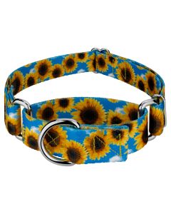 Sunflowers Martingale Dog Collar