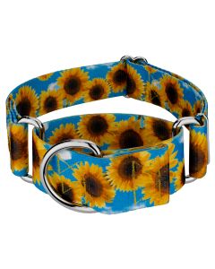 1 1/2 Inch Sunflowers Martingale Dog Collar