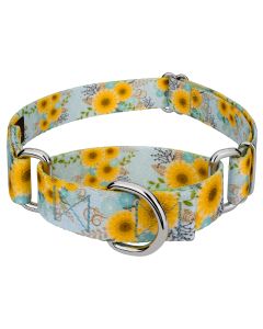 Sunny Days Martingale Dog Collar