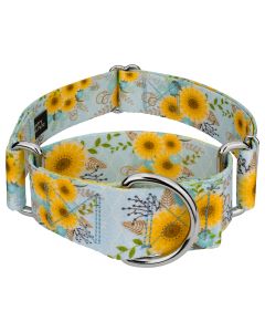 1 1/2 Inch Sunny Days Martingale Dog Collar