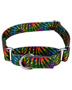 Tie Dye Stripes Martingale Dog Collar