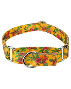 Tropical Floral Martingale Dog Collar