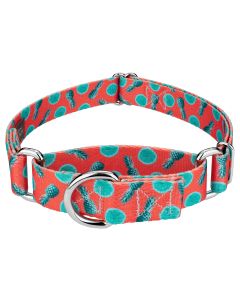 Tropical Tango Martingale Dog Collar Limited Edition