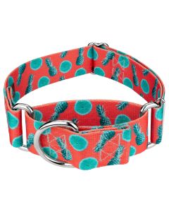 1 1/2 Inch Tropical Tango Martingale Dog Collar Limited Edition