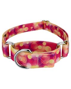 Unfocused Affection Martingale Dog Collar Limited Edition