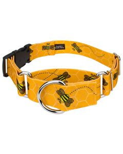 1 1/2 Inch Martingale with Deluxe Buckle - Summer Breeze Collection 