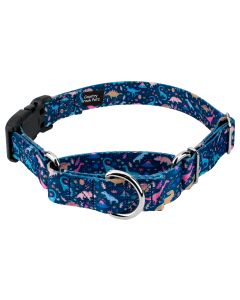 Dinosaurs Martingale Dog Collar with Deluxe Buckle