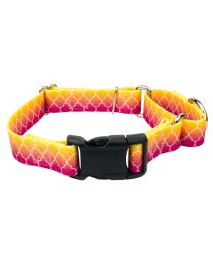 Fabulous Ombre Martingale with Deluxe Buckle