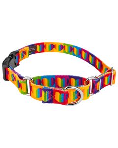 Rainbow Hearts Martingale with Deluxe Buckle Dog Collar