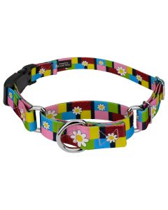 Spring Daisies Martingale with Deluxe Buckle